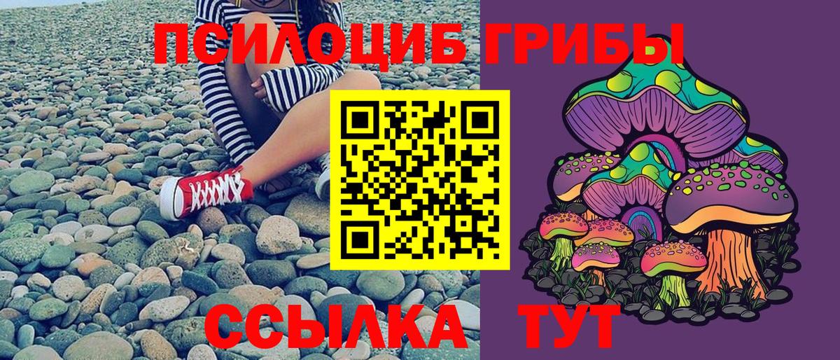 Псилоцибиновые грибы ЛСД Анапа